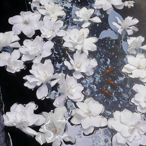 校花扒开🍑给男人玩网站
