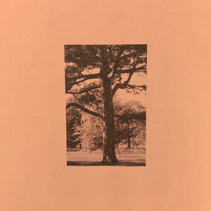 校花扒开🍑给男人玩网站
